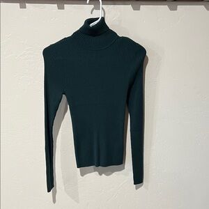 Express Forest Green Ribbed Turtleneck